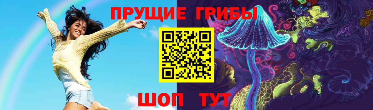 Галлюциногенные грибы GOLDEN TEACHER Кашира